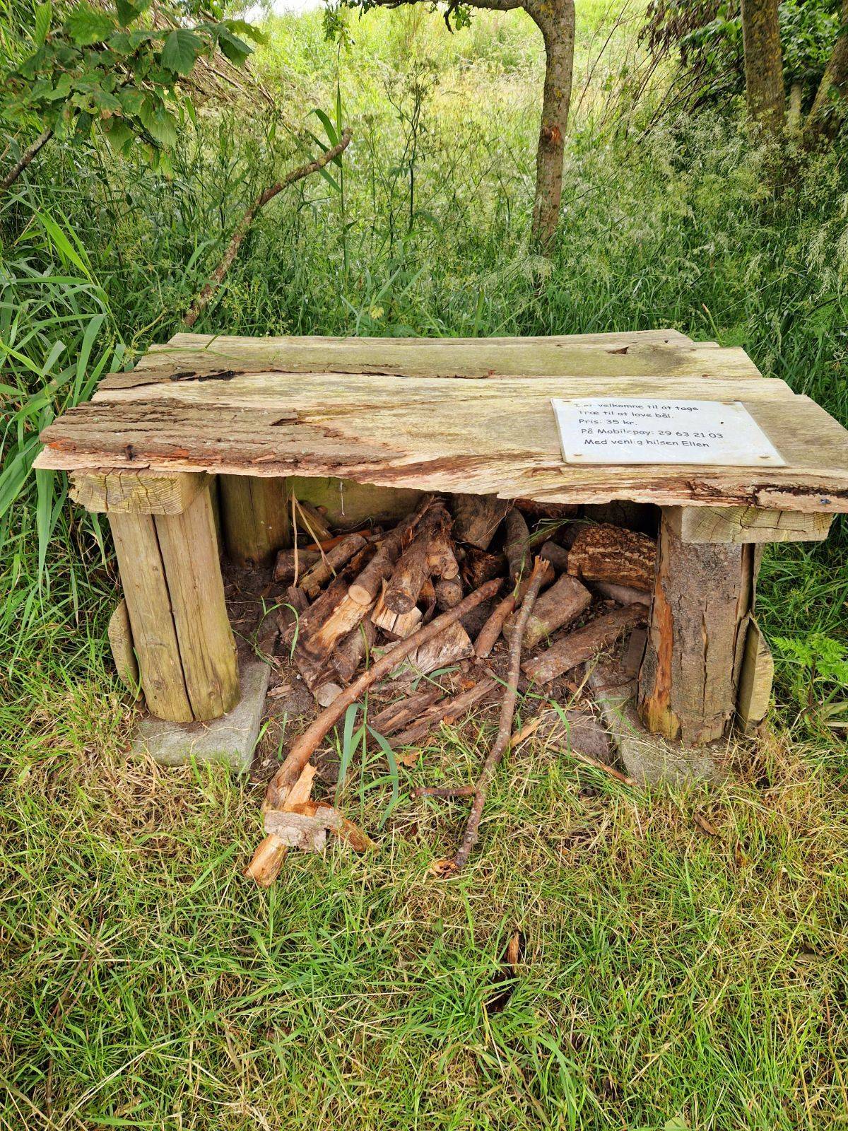 Billede af shelter Marskshelters i Emmerlev – billede 17