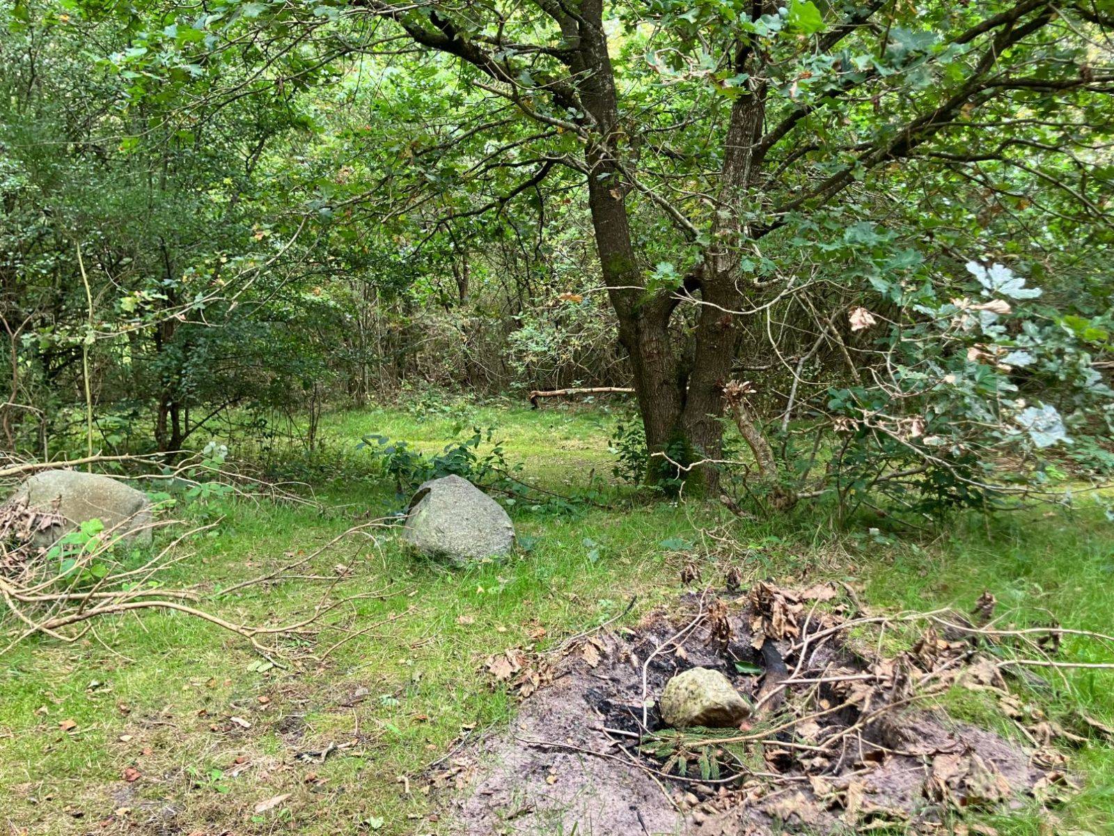 Billede af shelter Shelter ved Salling Natursti – billede 3