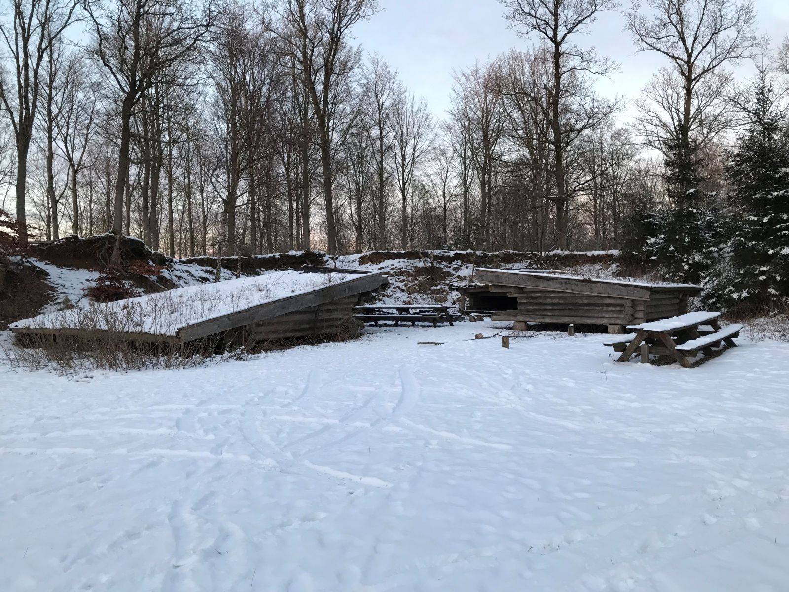 Billede af shelter Gribskov, Multebjerg Shelterplads