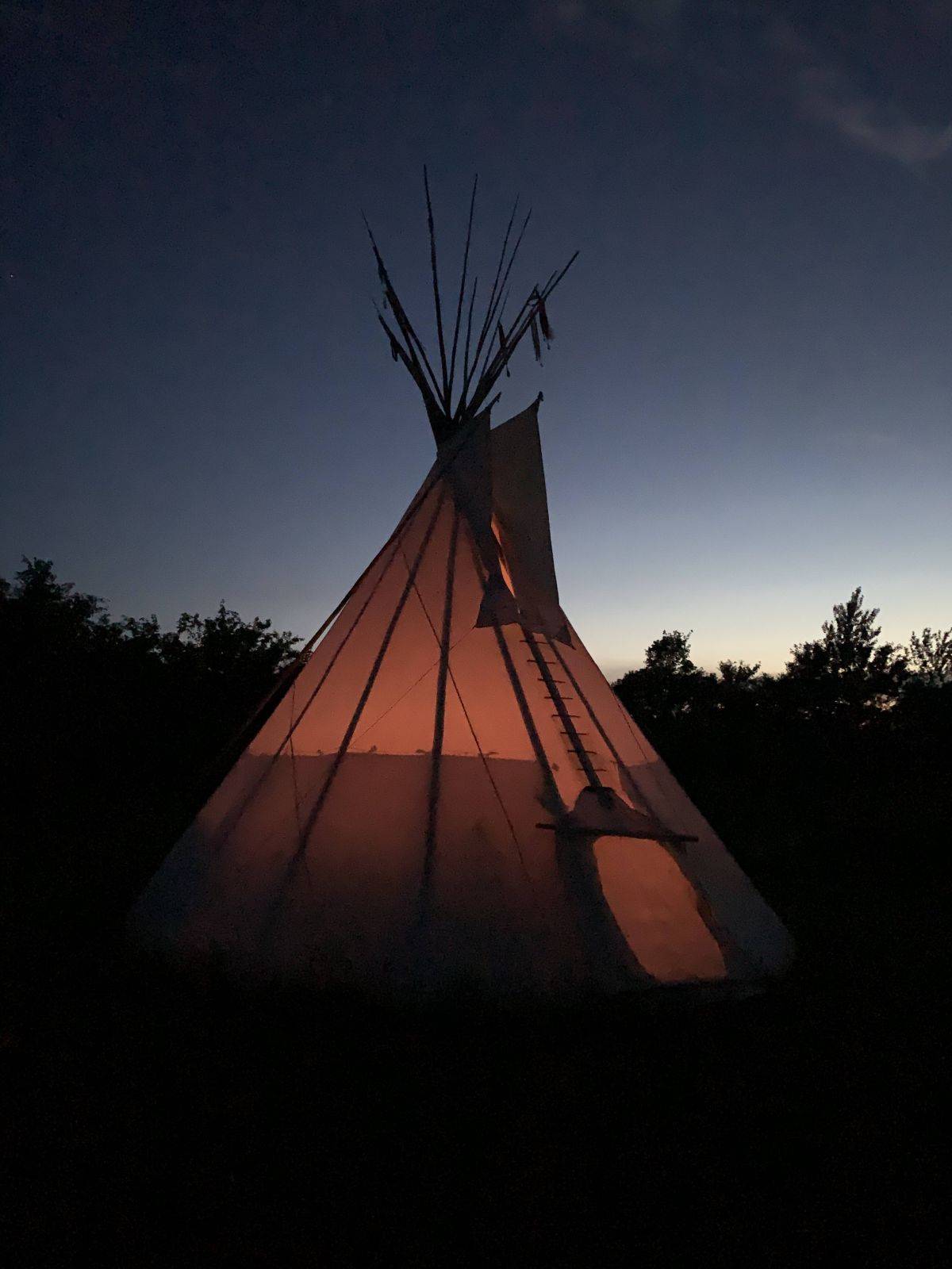 Billede af shelter Tipi og shelters i frugtplantagen – billede 6
