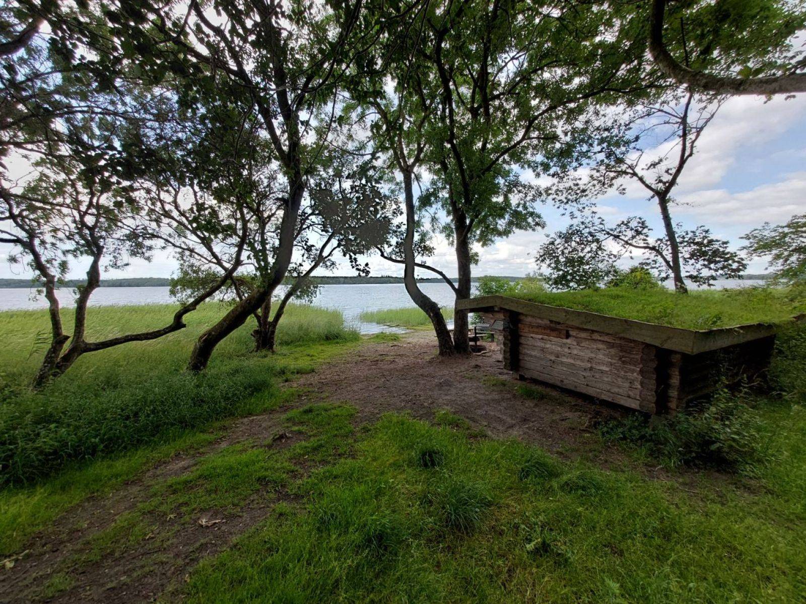 Billede af shelter Skjoldunge shelteret, Boserup skov