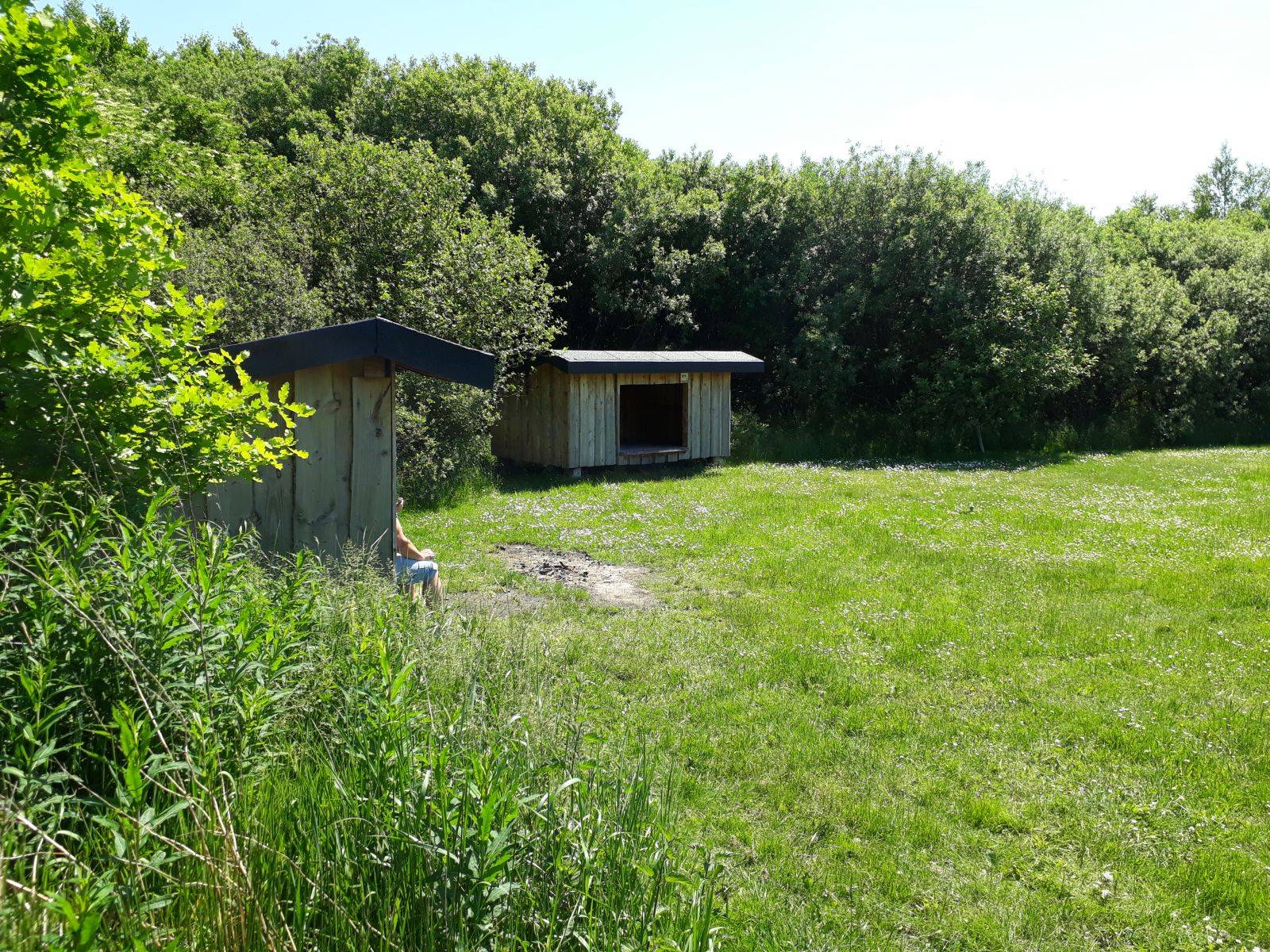 Billede af shelter Hodsager kanoplads