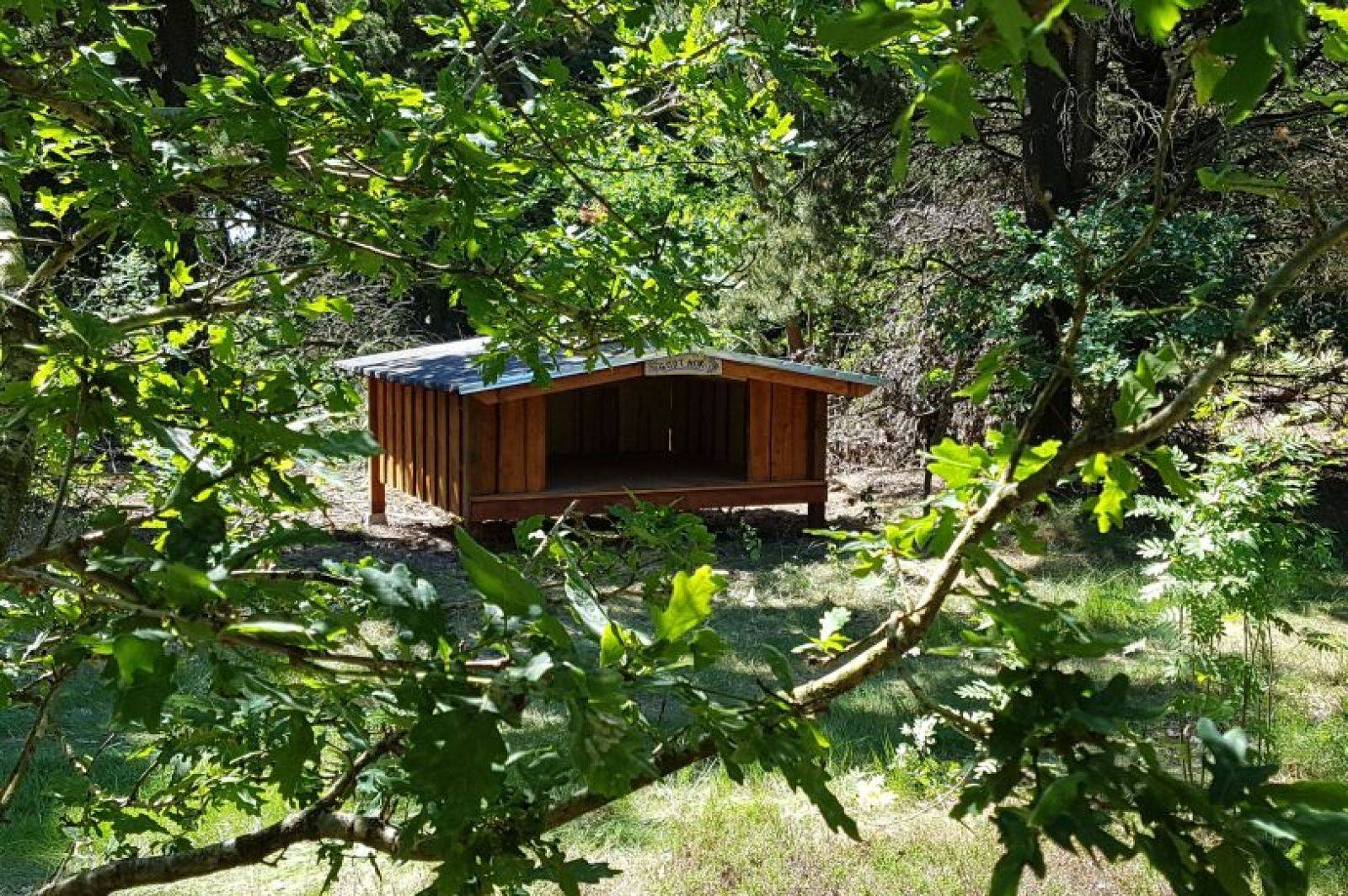Billede af shelter Fyrrevej 230, 6990 Ulfborg