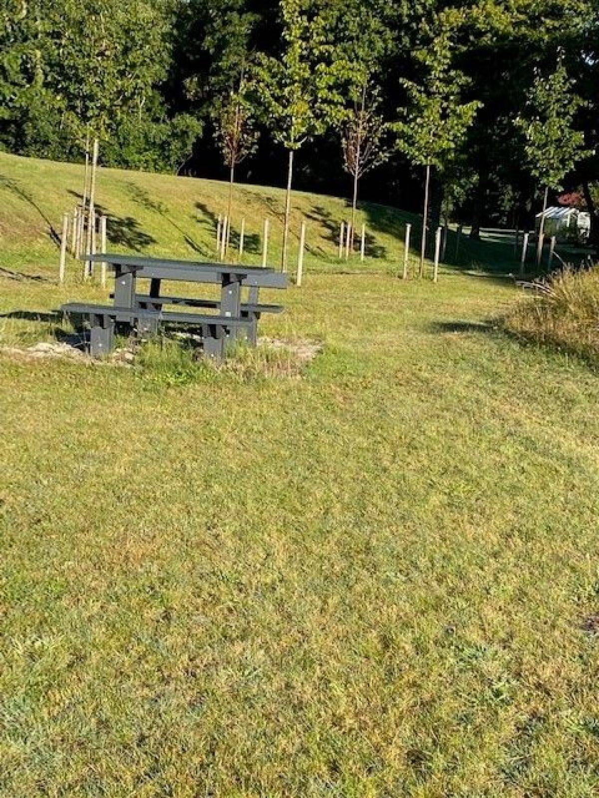 Billede af shelter Tastum Shelterplads – billede 1