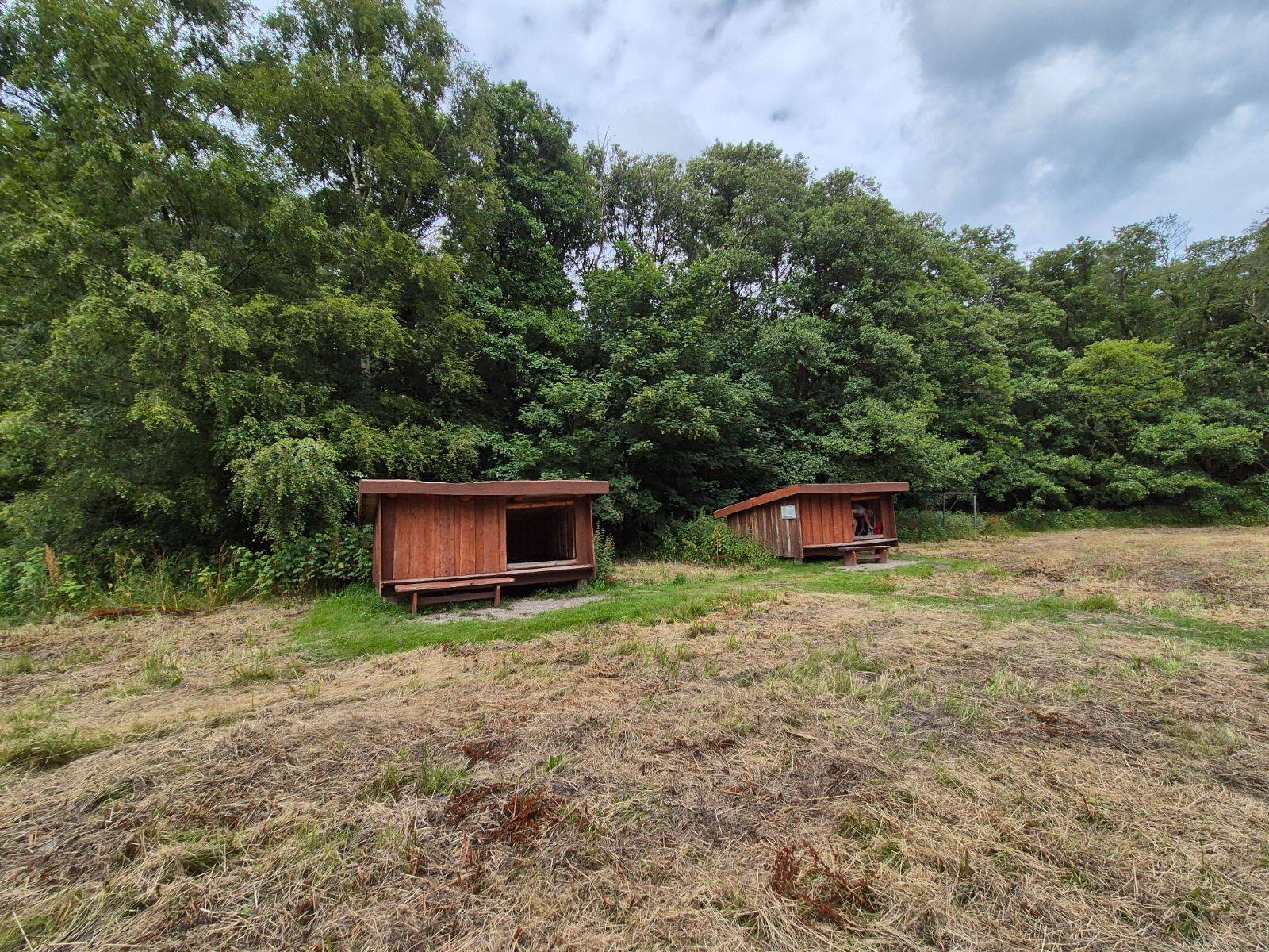 Billede af shelter Elling Plantage – billede 3