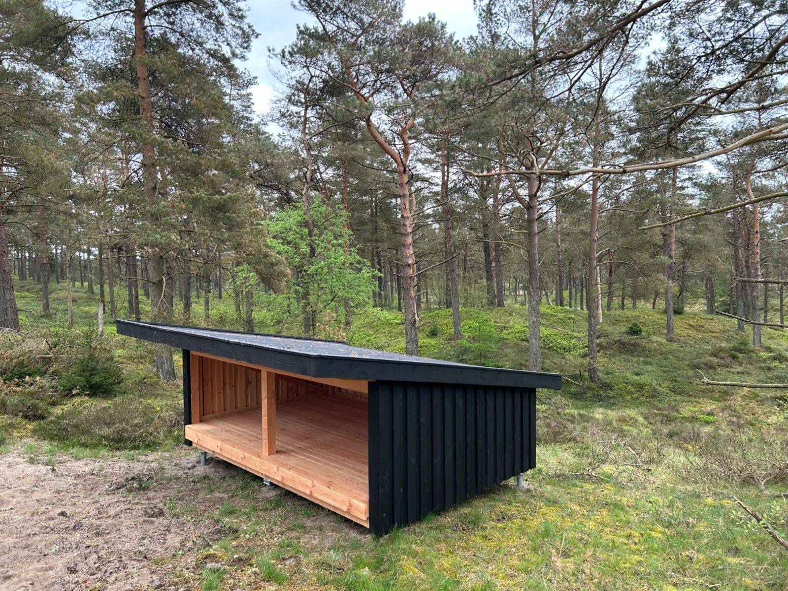 Billede af shelter Gludsted Plantage, Den Skæve Bane - shelter 1 – billede 2
