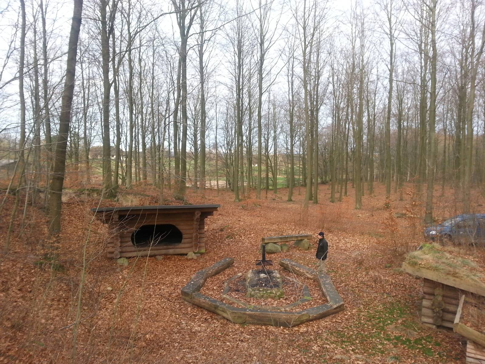 Billede af shelter Primitiv lejrplads i Endrup Hegn                   – billede 2