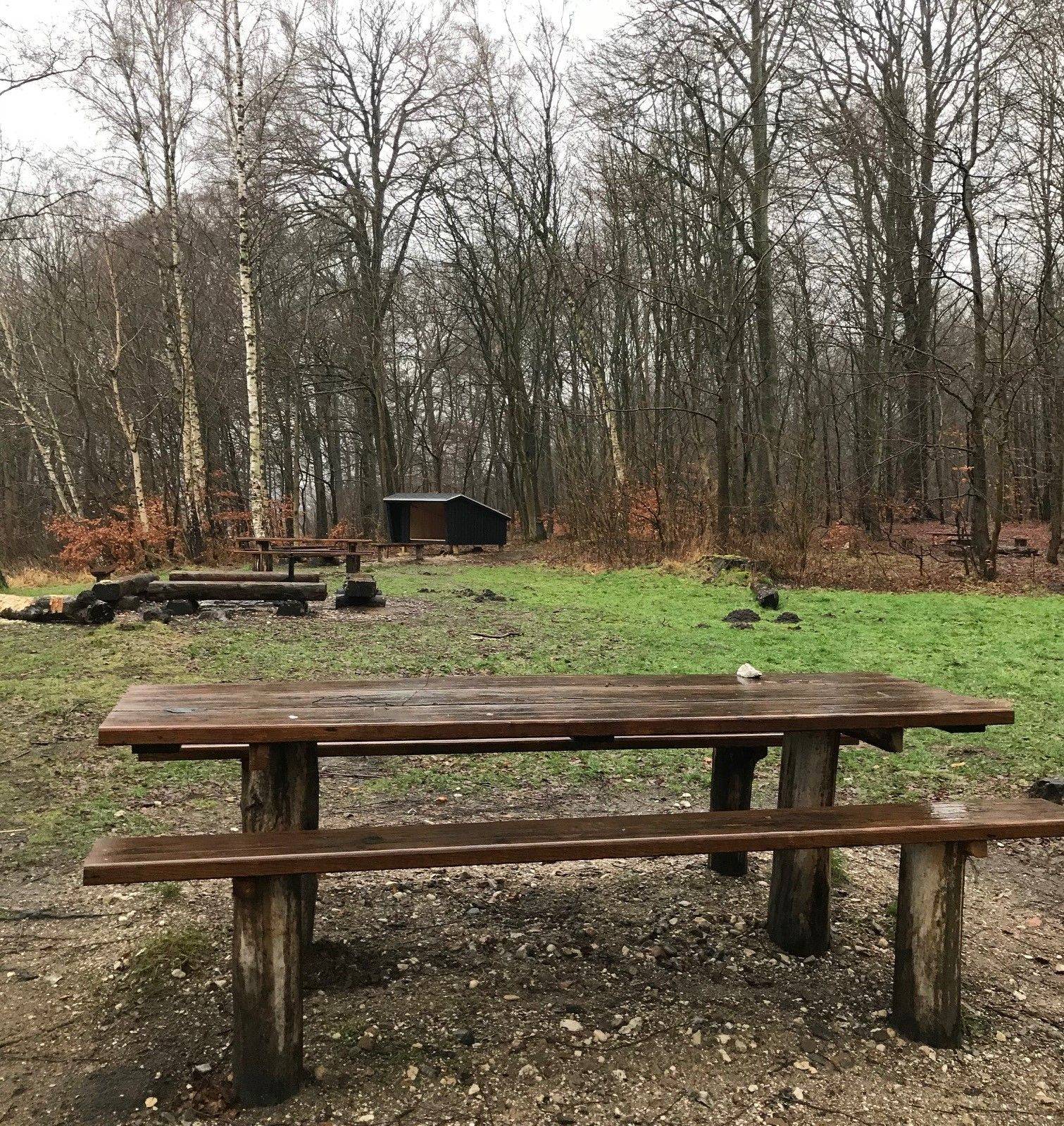 Billede af shelter Skarven shelter – billede 5