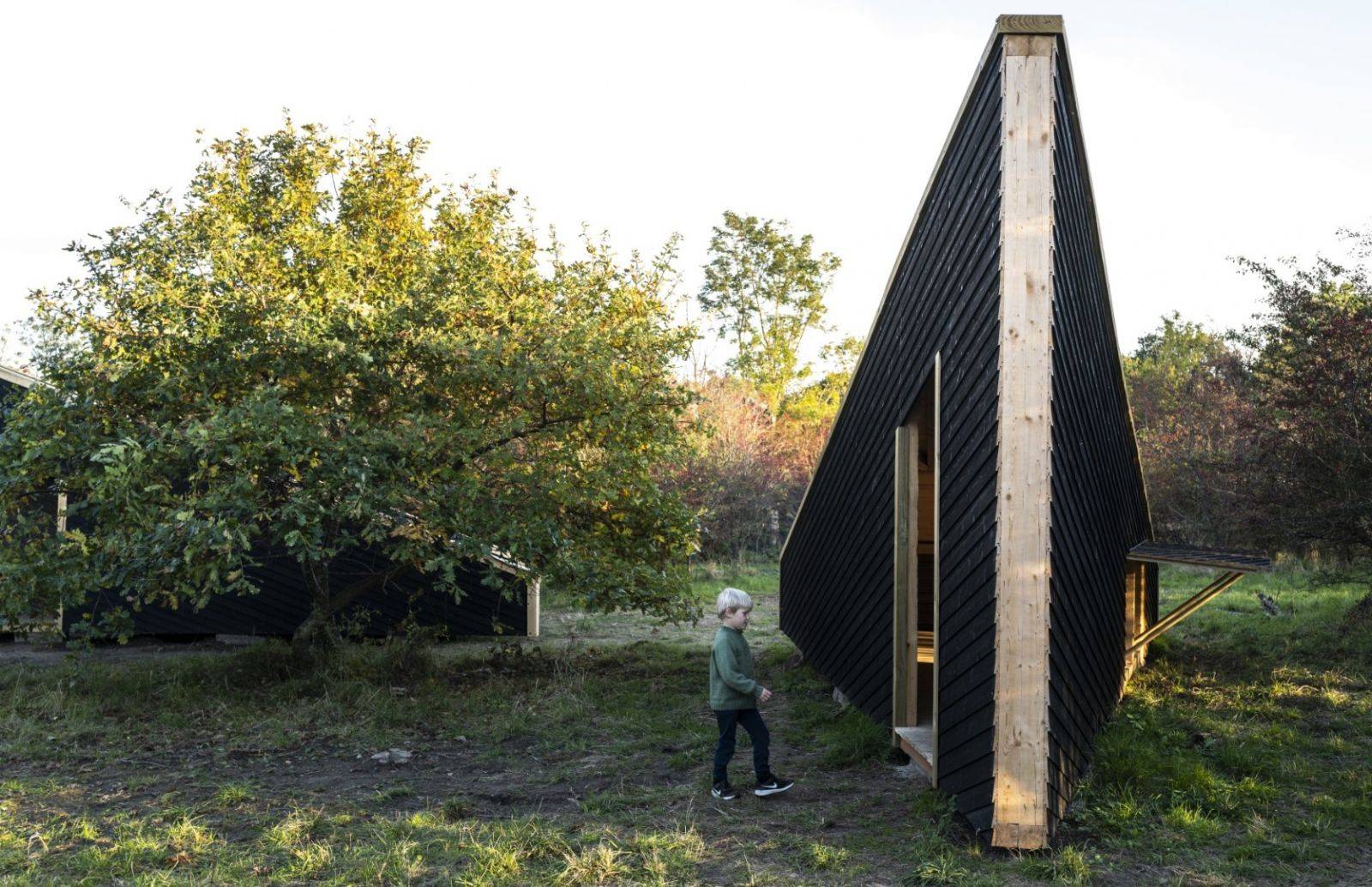 Billede af shelter Lavringe shelterplads – billede 2