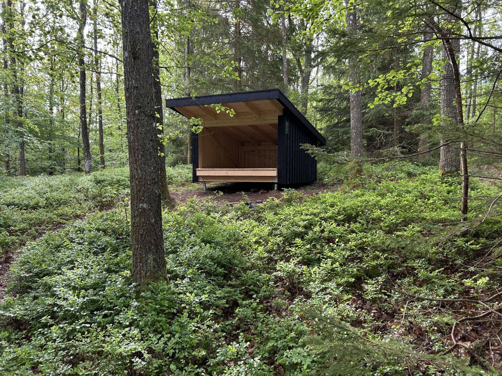 Billede af shelter Shelter ved Østre Gåsekær