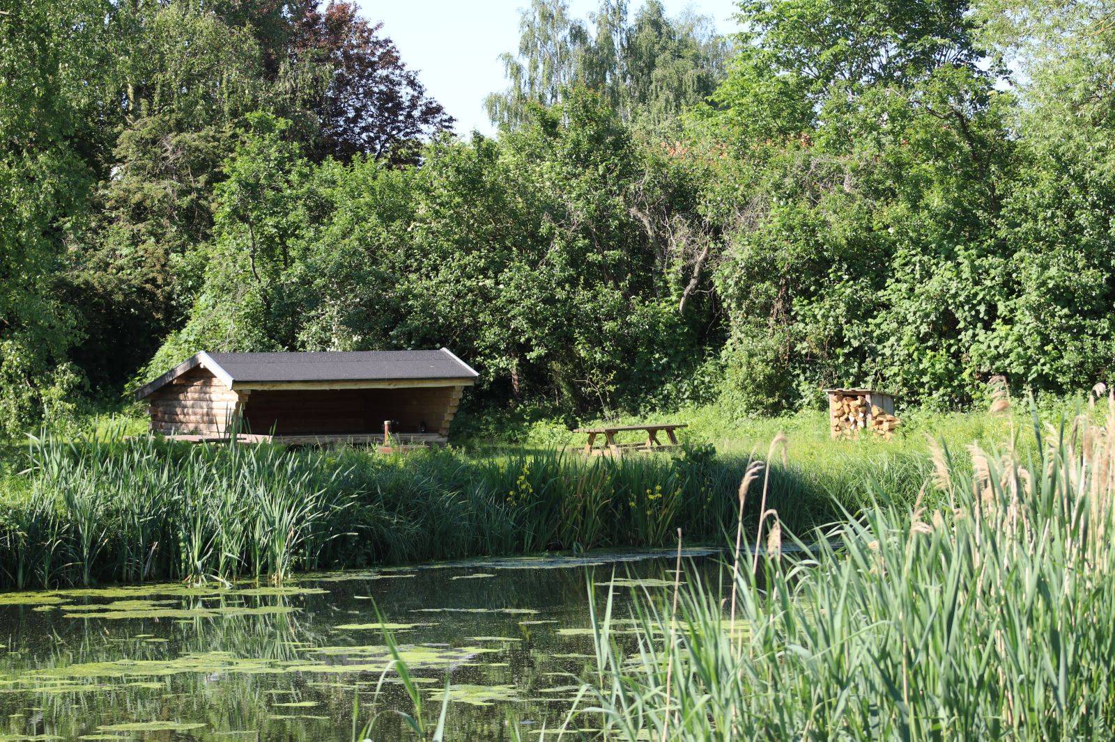 Billede af shelter Nellemose Shelterplads – billede 2