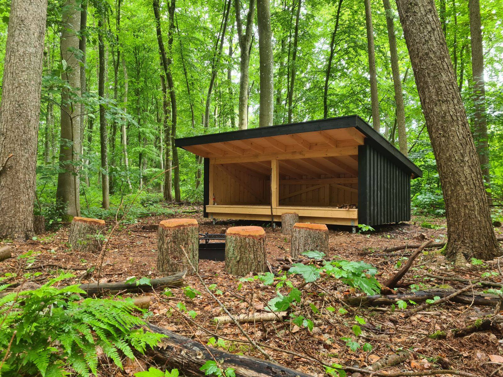Billede af shelter Shelter i Ringe Skov