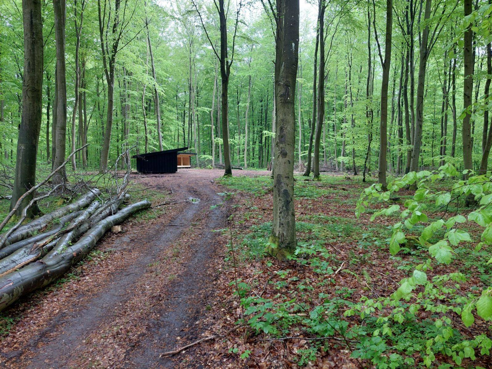 Billede af shelter Slagslunde Skov, shelterplads med to shelters – billede 2