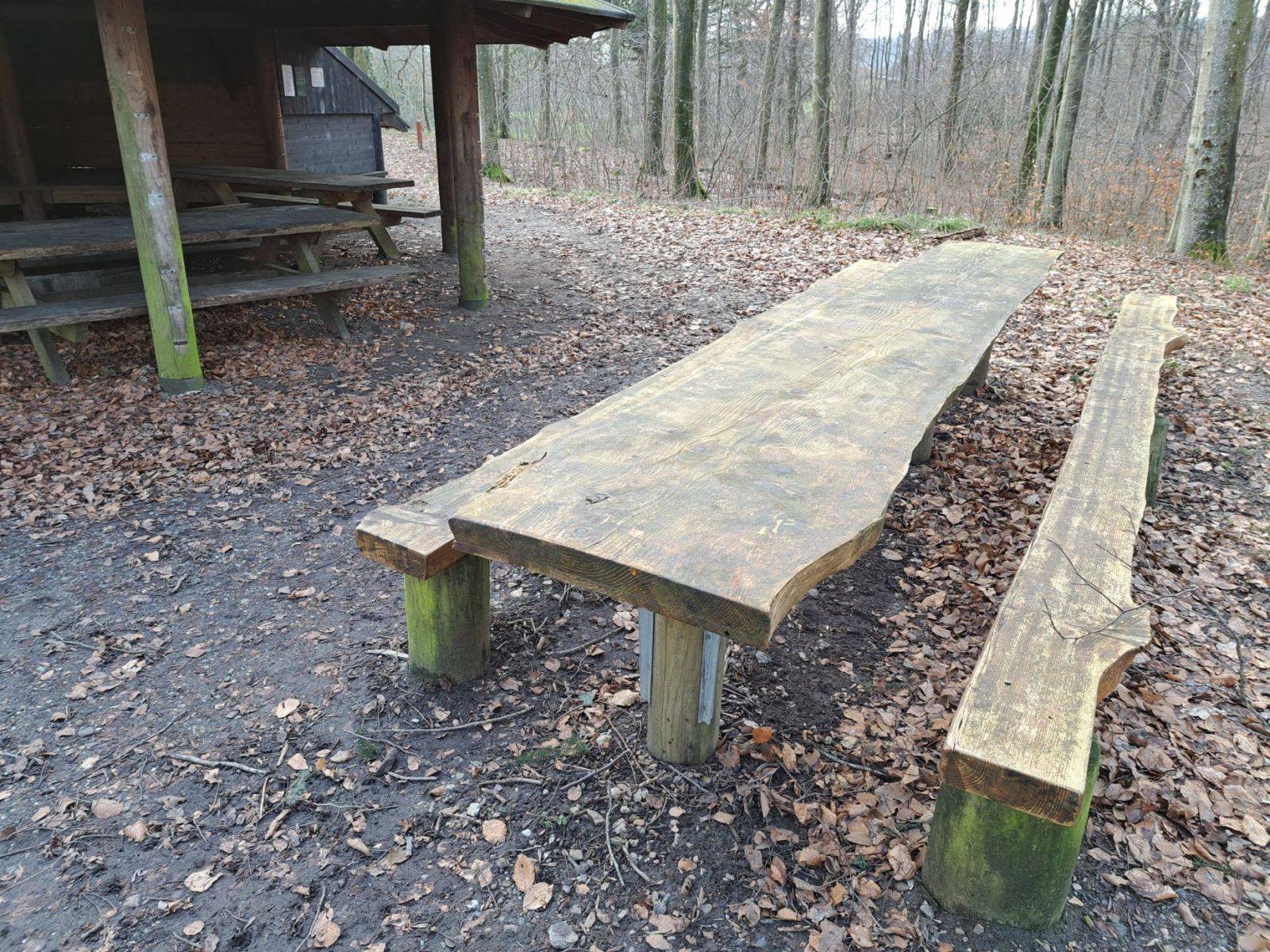 Billede af shelter Refstrup Shelterplads – billede 2