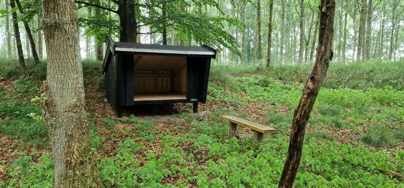 Billede af shelter Vendehalsen shelter