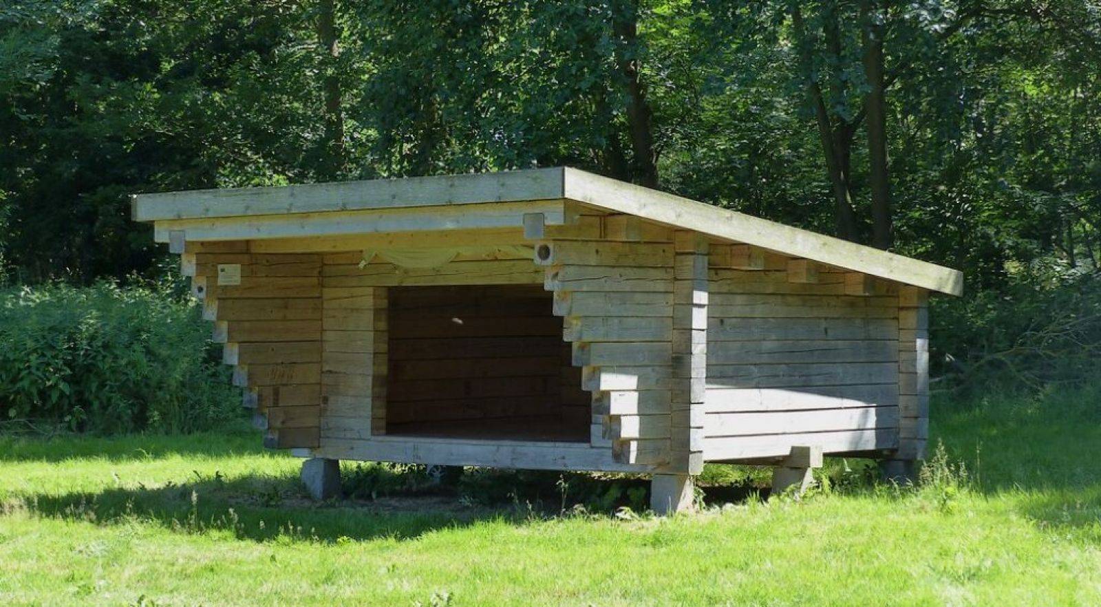 Billede af shelter Femø shelter- og teltplads – billede 7