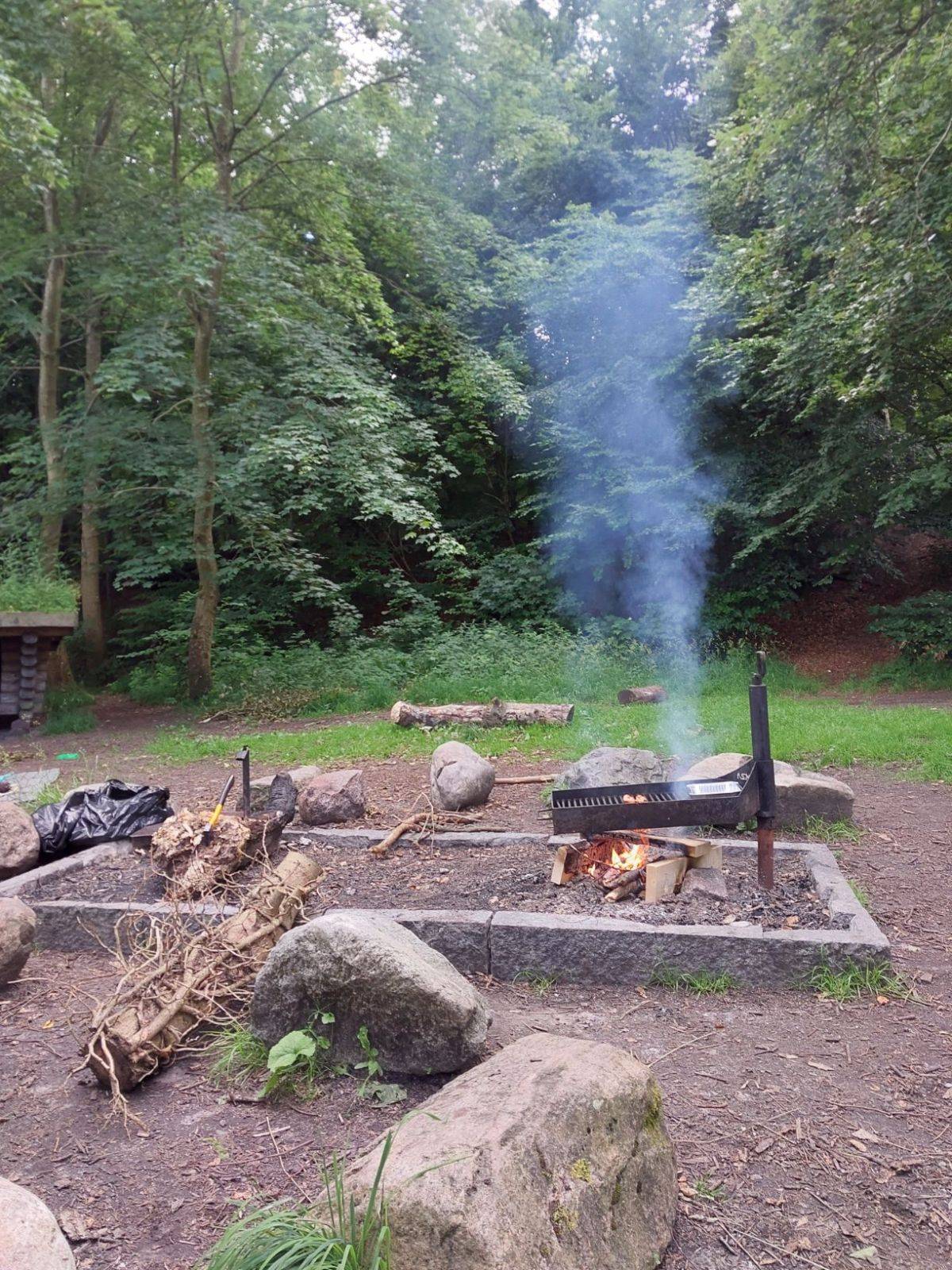 Billede af shelter Kong Roar Shelterpladsen, Boserup Skov – billede 5
