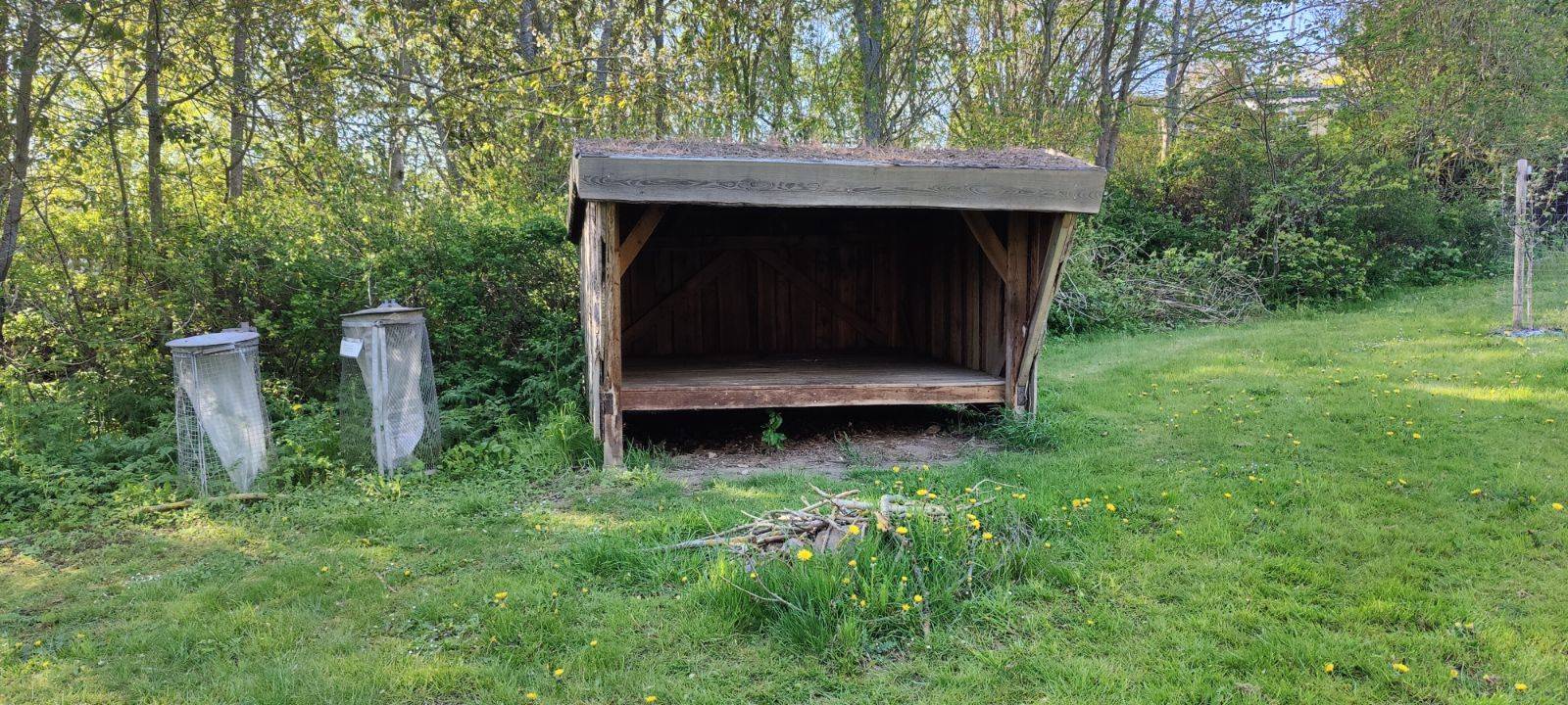 Billede af shelter Sprove Shelterplads – billede 2