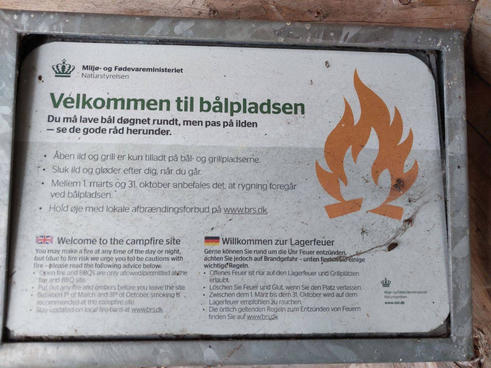 Billede af shelter Skjoldunge shelteret, Boserup skov – billede 8