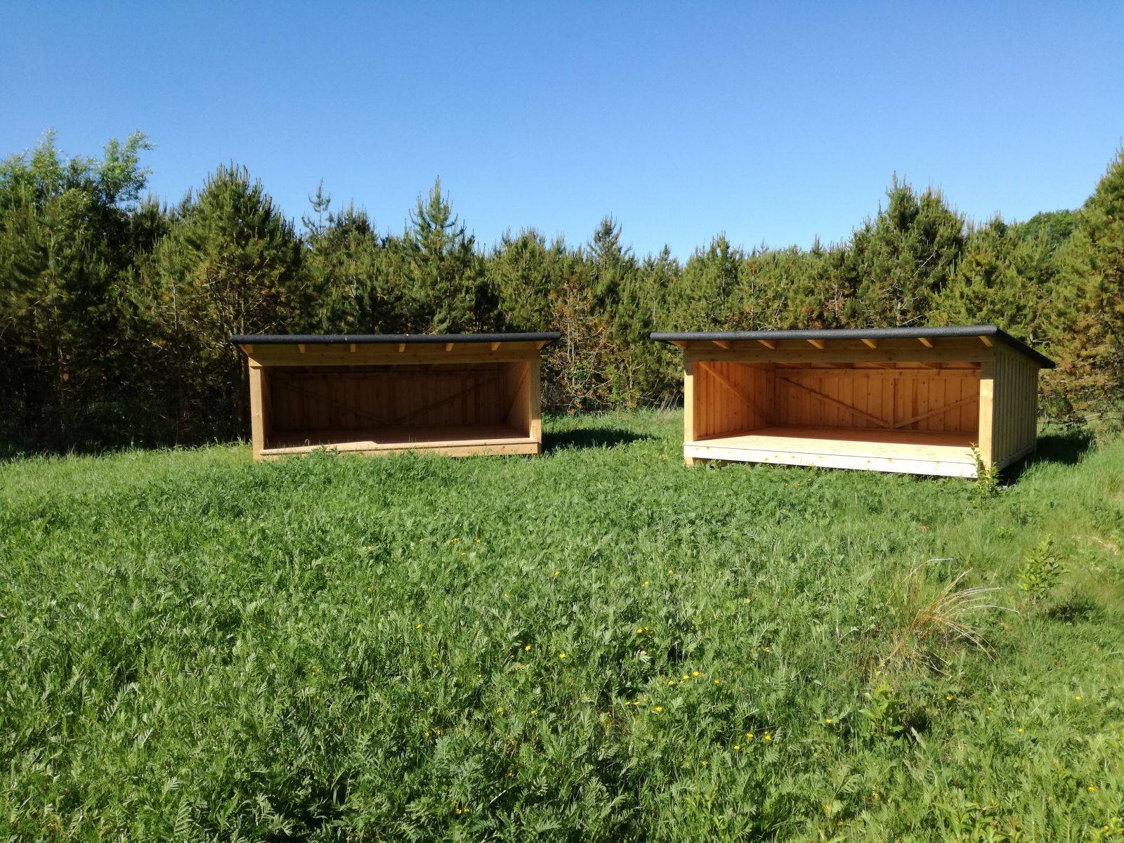 Billede af shelter Arrild Shelteret shelter 2