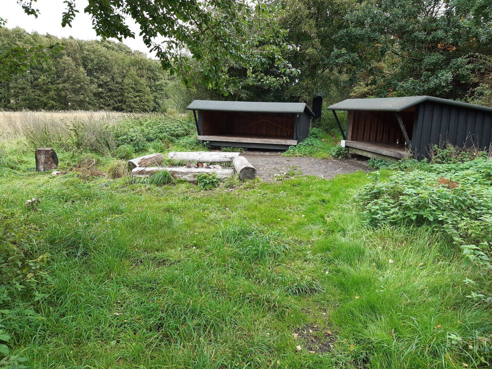 Billede af shelter Lejrplads Stubbe Sø - shelter nr. 1 (bookbar)                          – billede 3