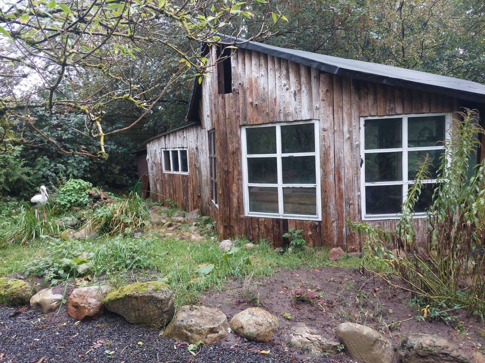 Billede af shelter Hankelbjergs shelter og bålhytte – billede 12