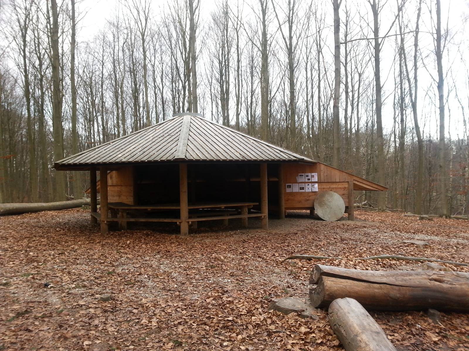 Billede af shelter Shelter i Vinderød Skov