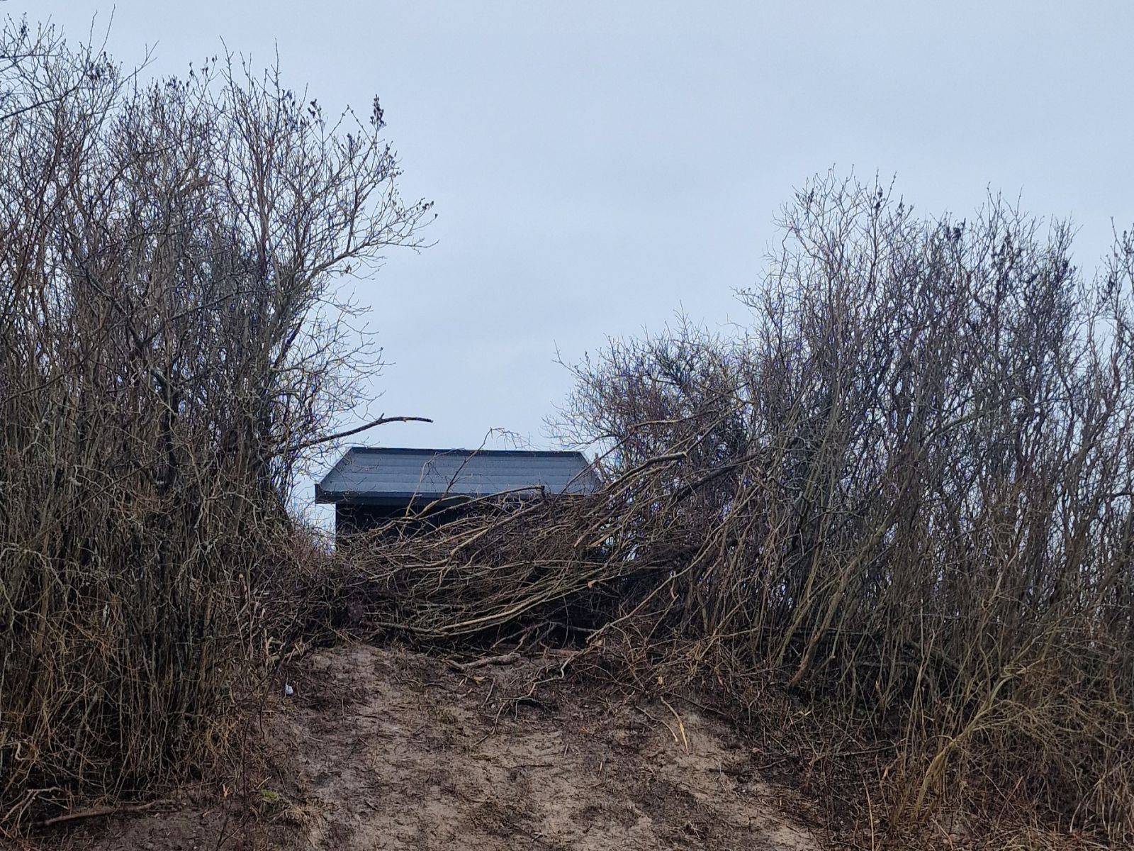 Billede af shelter Havtornen shelter – billede 3