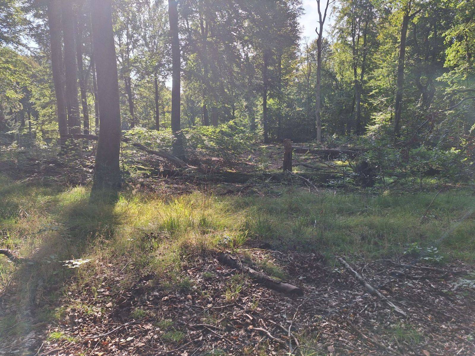 Billede af shelter Grævlingen shelter