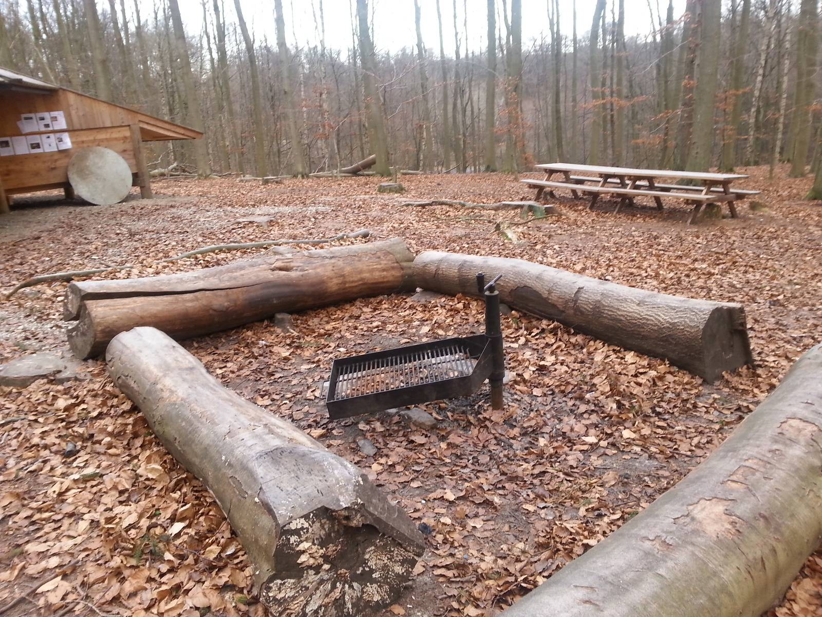 Billede af shelter Shelter i Vinderød Skov – billede 2