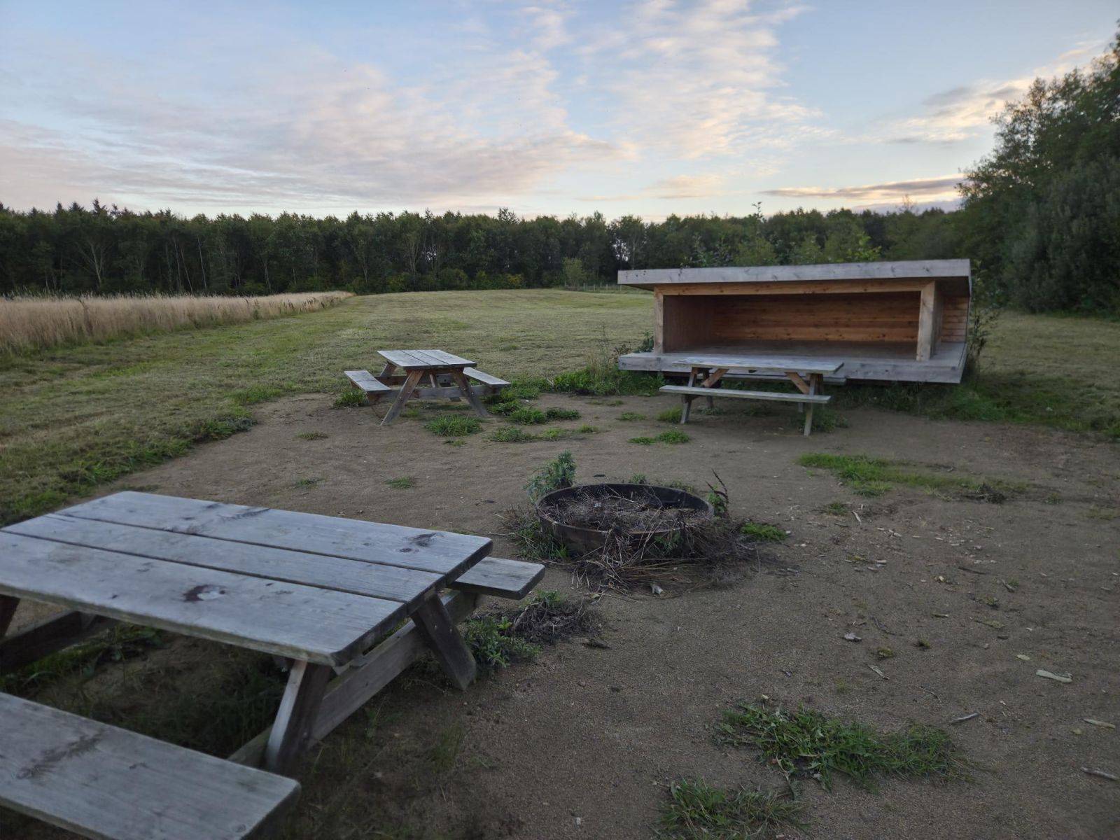 Billede af shelter Shelterplads ved Skovsøen i Fårvang – billede 3