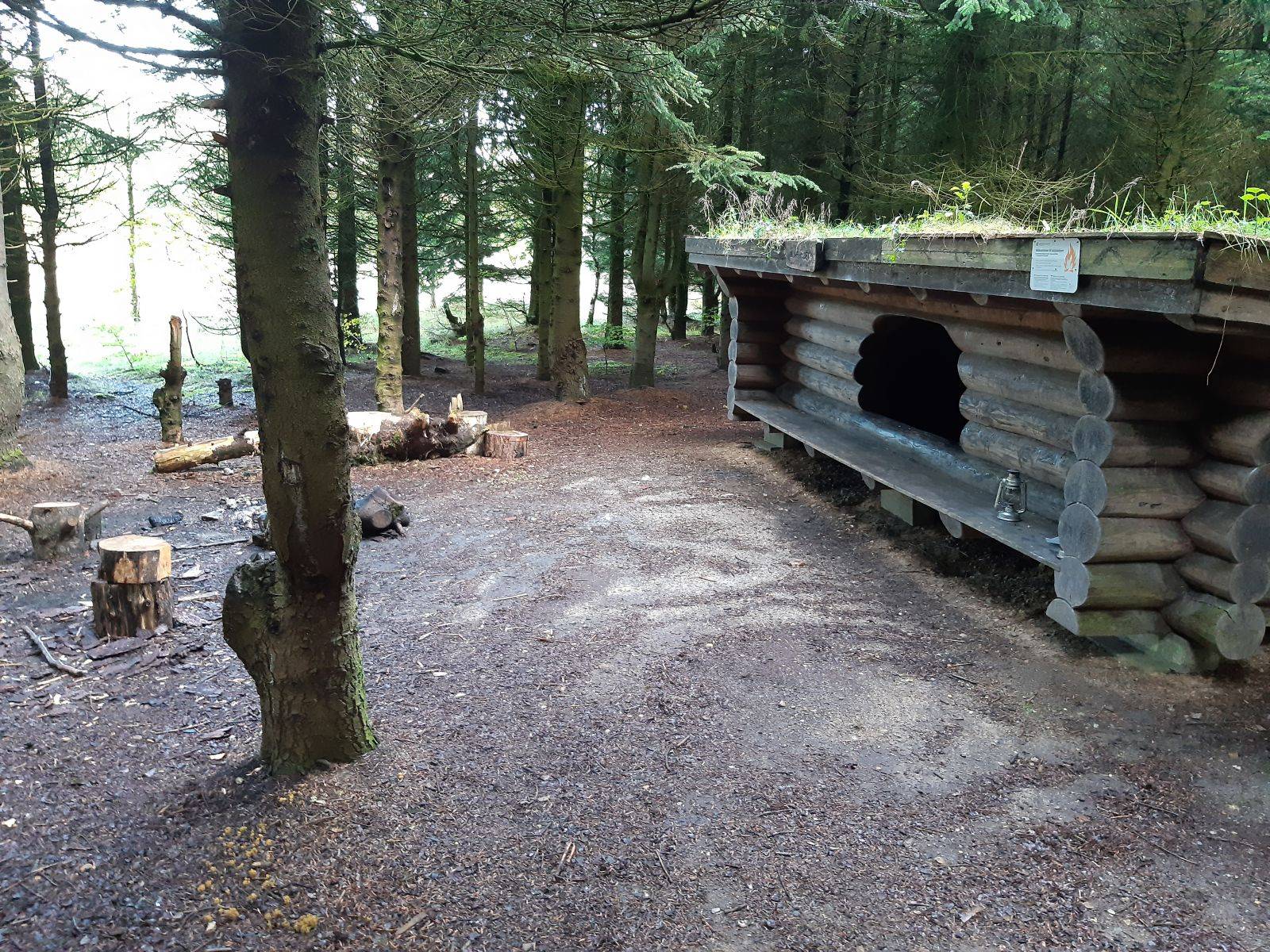 Billede af shelter Lejrplads Sjørup Skov  - shelter nr. 1 (bookbar)                   