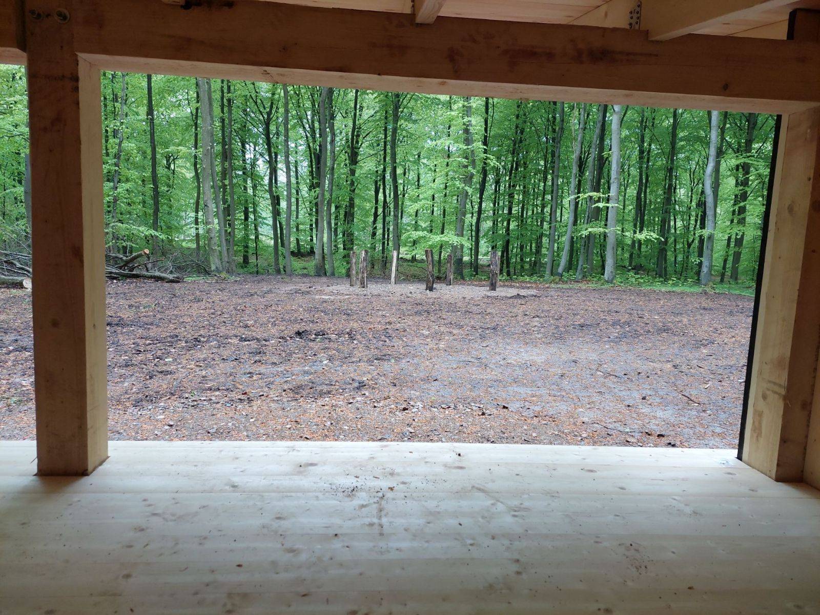 Billede af shelter Slagslunde Skov, shelterplads med to shelters – billede 3
