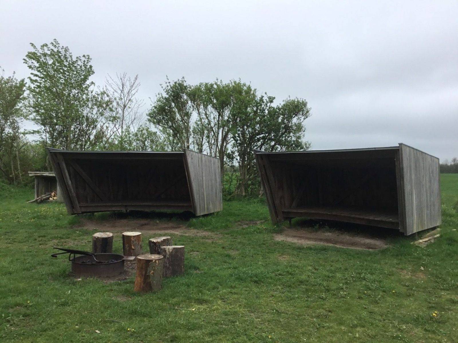 Billede af shelter Vilslev shelterplads