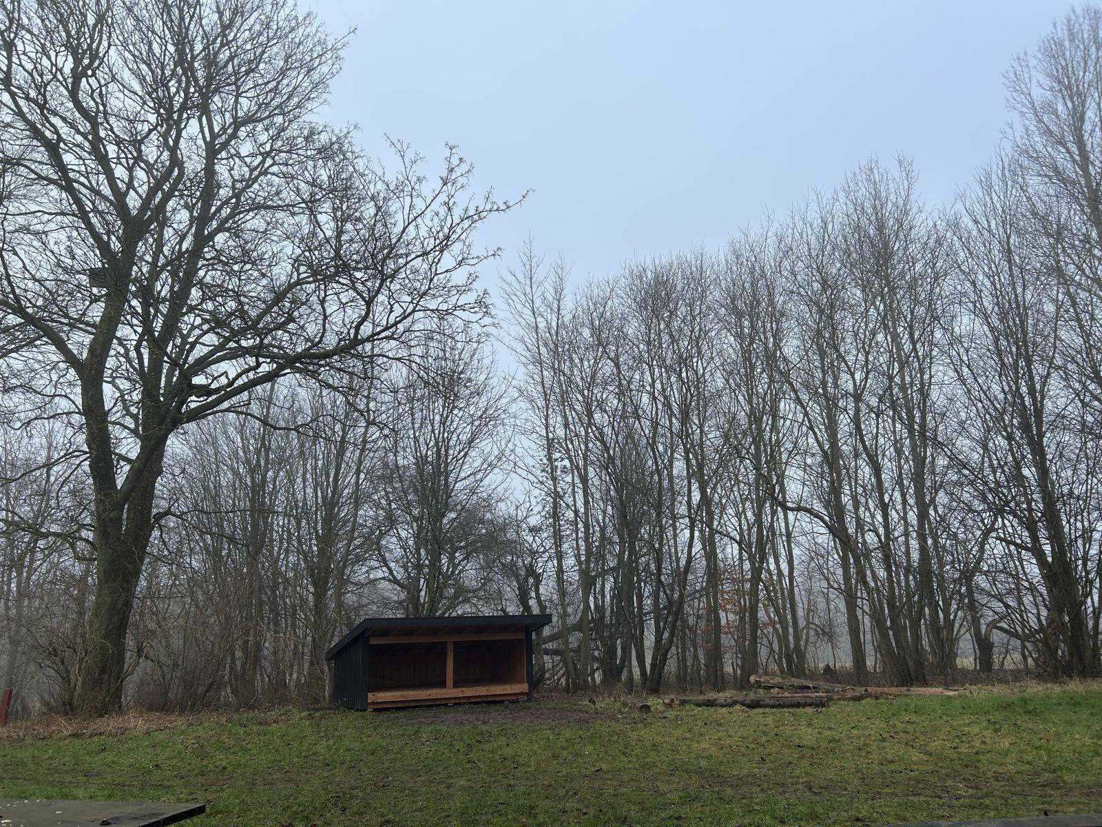 Billede af shelter Lundagergård Shelterplads - shelter 1                              