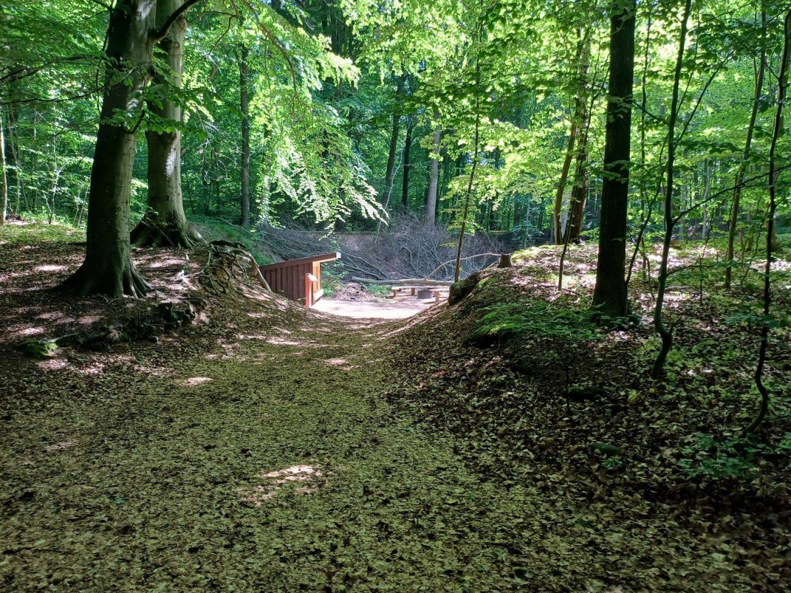 Billede af shelter Terkelskov, Shelterplads – billede 4