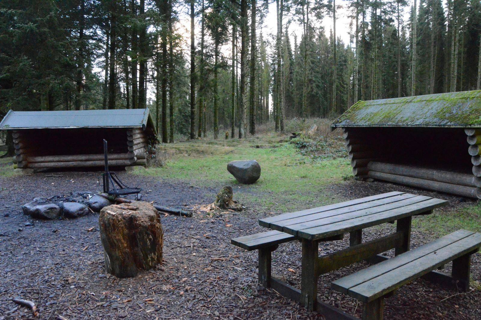 Billede af shelter Klosterheden, Hornet - Shelter 3 – billede 2