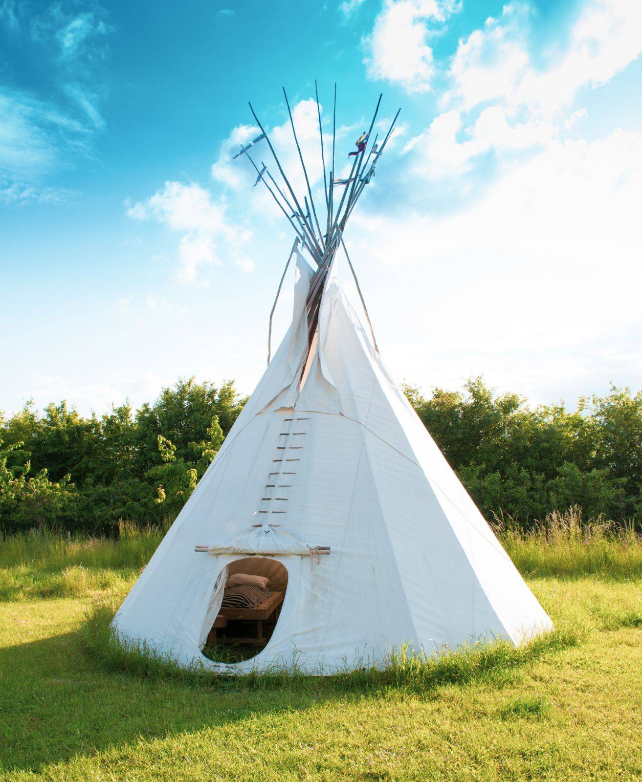 Billede af shelter Tipi og shelters i frugtplantagen – billede 5