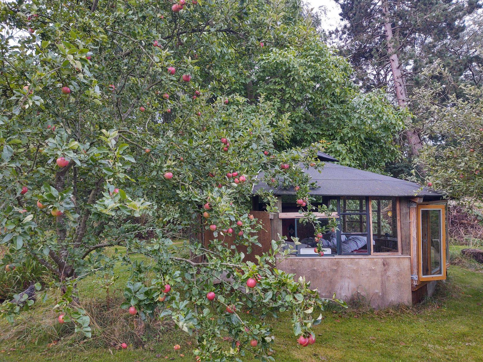 Billede af shelter Niks Malergård – billede 2