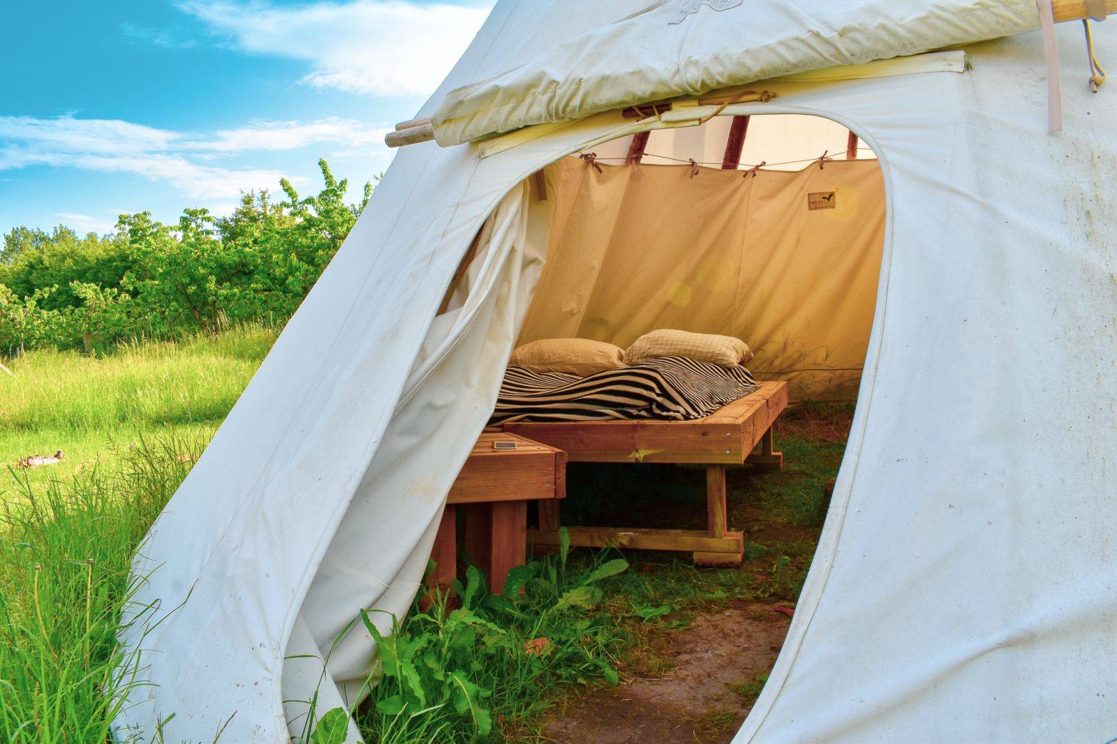 Billede af shelter Tipi og shelters i frugtplantagen – billede 7