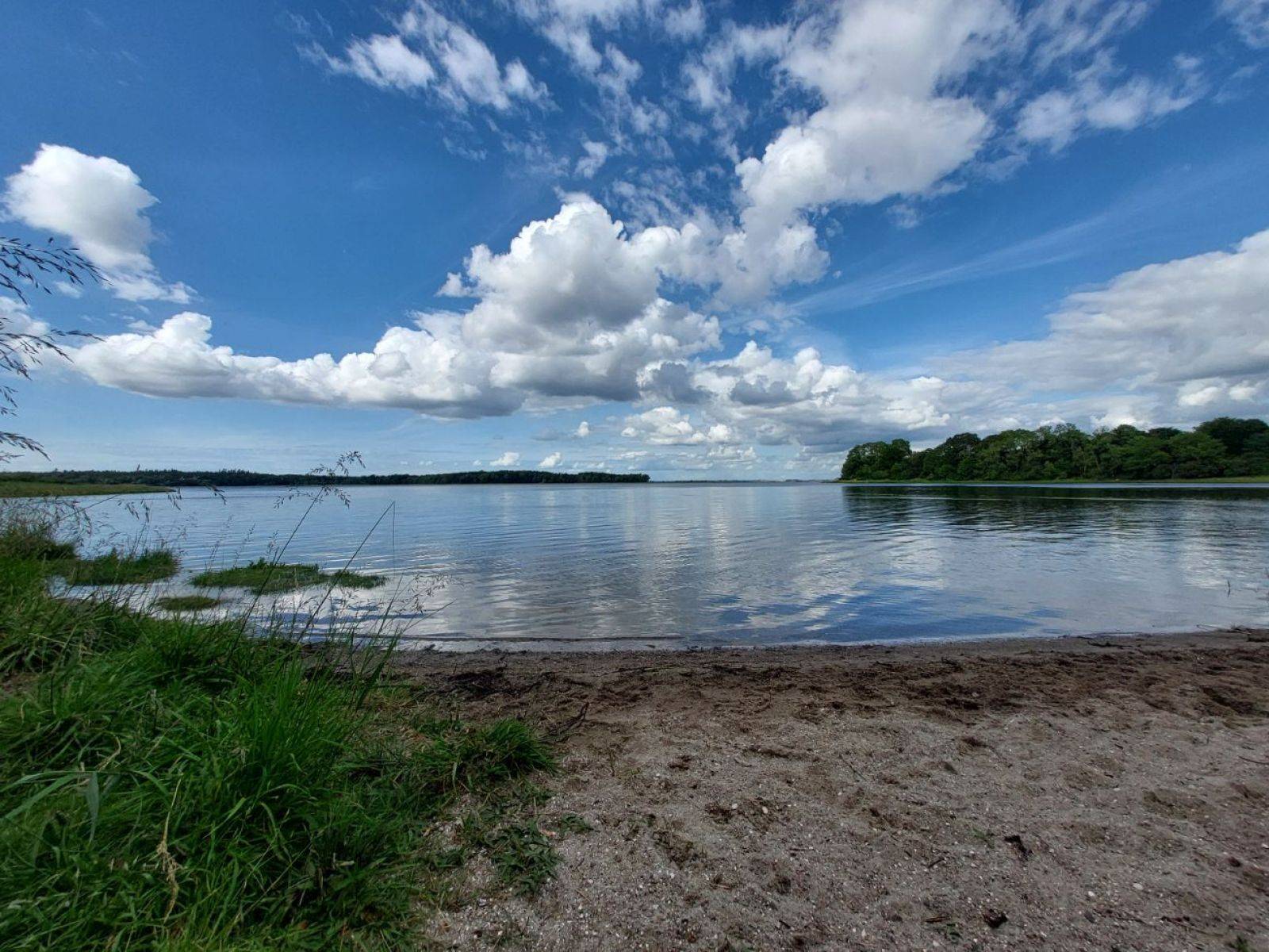 Billede af shelter Kong Roar Shelterpladsen, Boserup Skov
