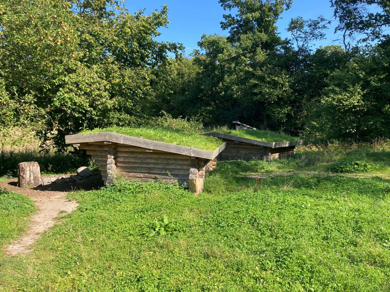 Billede af shelter Shelterplads i Helvigstrup skov                   