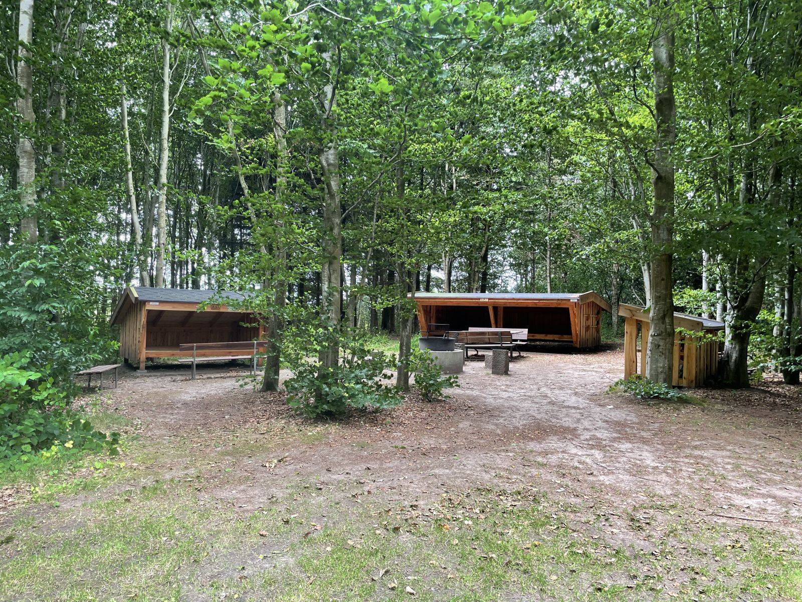 Billede af shelter Shelter i Larsens skov