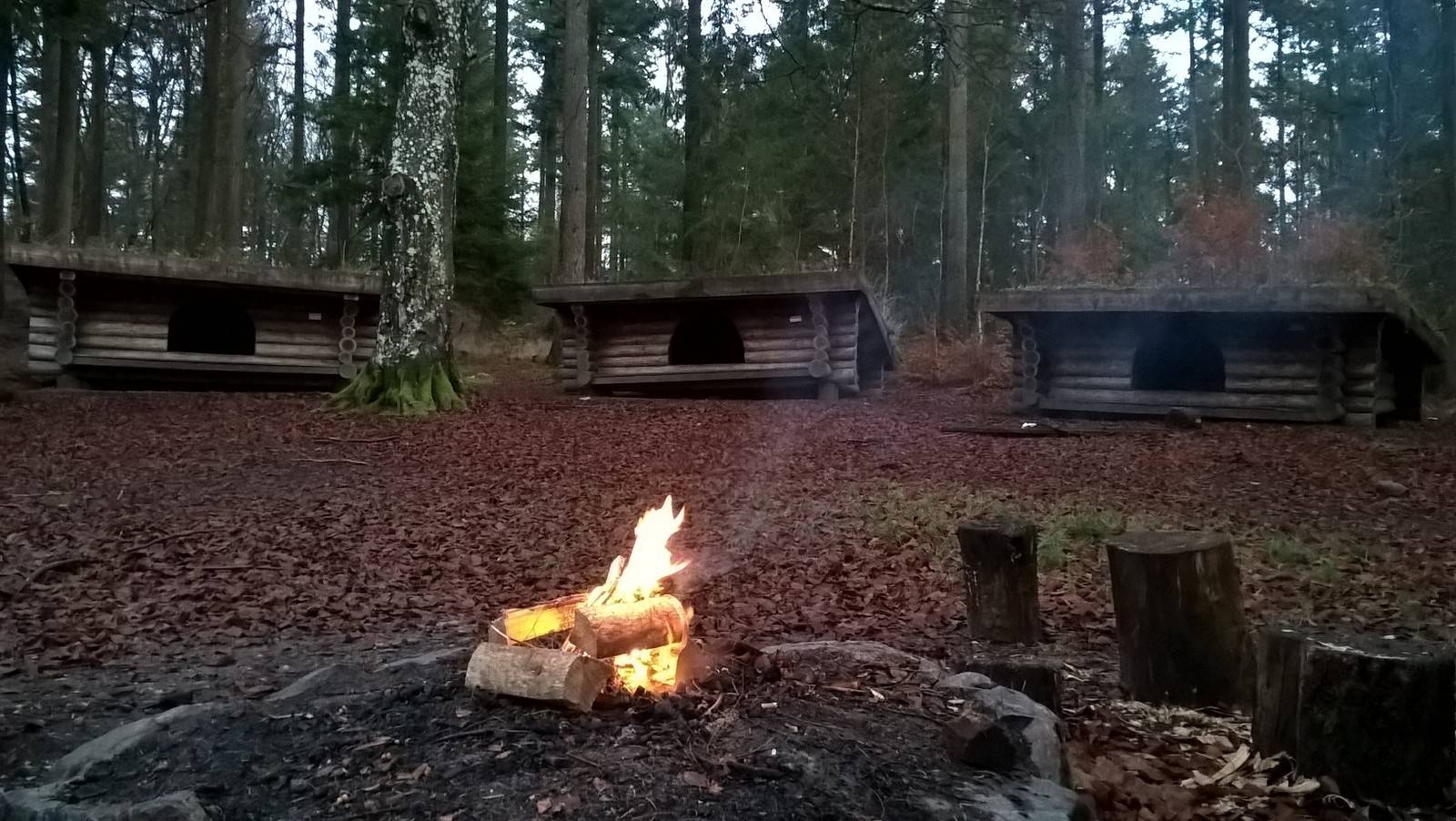 Billede af shelter Shelterpladsen ved Jægerhytten                        – billede 1