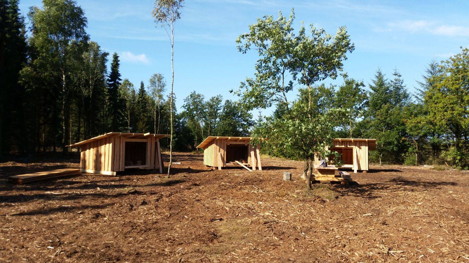 Billede af shelter Hodsager plantage