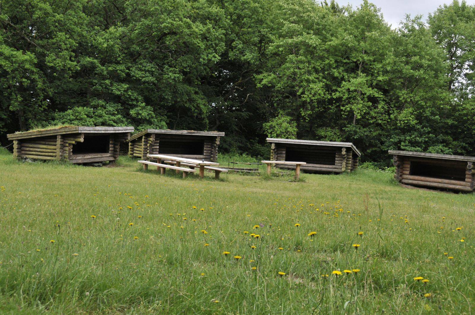 Billede af shelter Birkelund Shelter 4