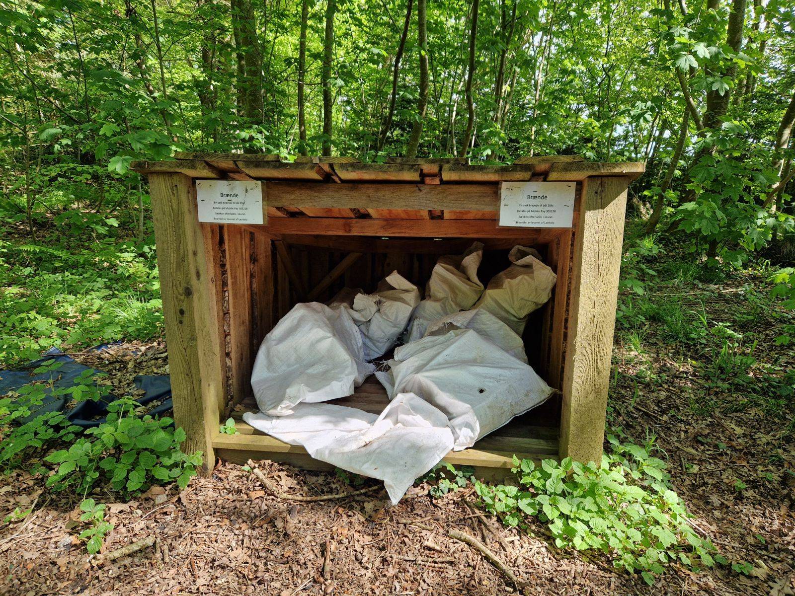 Billede af shelter Møgeltønder shelterplads – billede 5