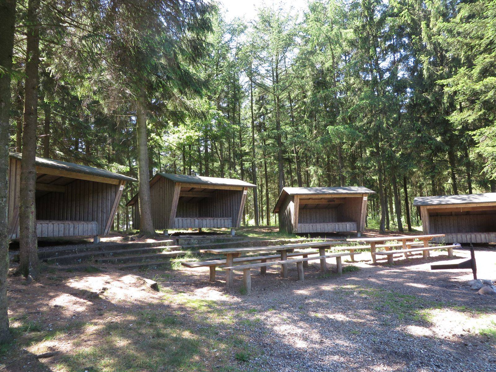 Billede af shelter Shelterplads i Sinding kommuneplantage