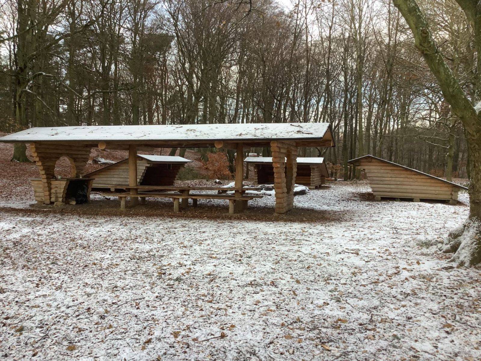 Billede af shelter Shelter i Hørhaven i skoven – billede 1
