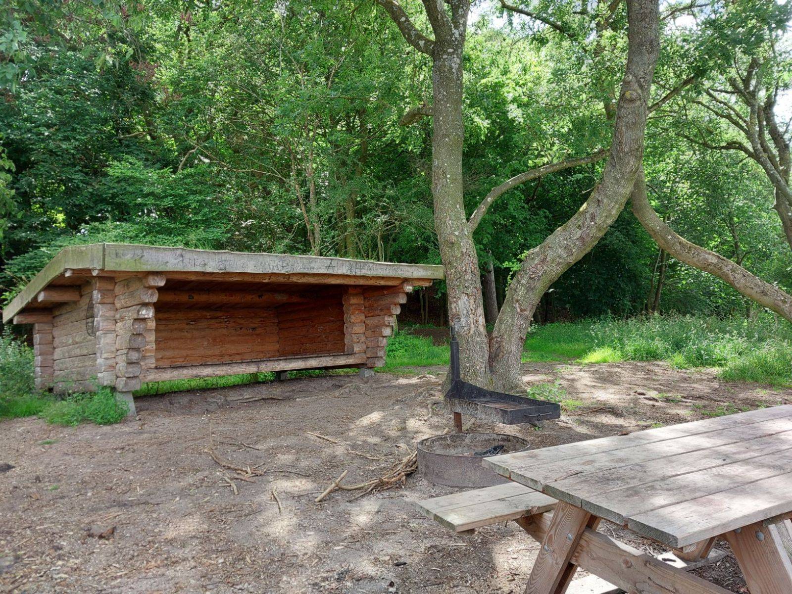 Billede af shelter Skjoldunge shelteret, Boserup skov – billede 5